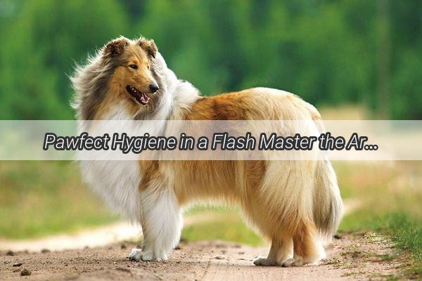 Pawfect Hygiene in a Flash Master the Art of Using Doggie Wipes